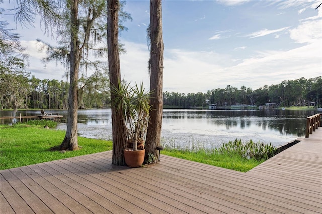 19100 Forrest Dr, Odessa, FL 33556 - photo 53