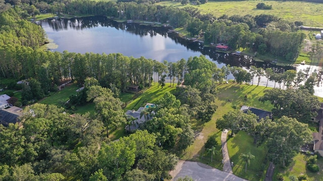 19100 Forrest Dr, Odessa, FL 33556 - photo 59