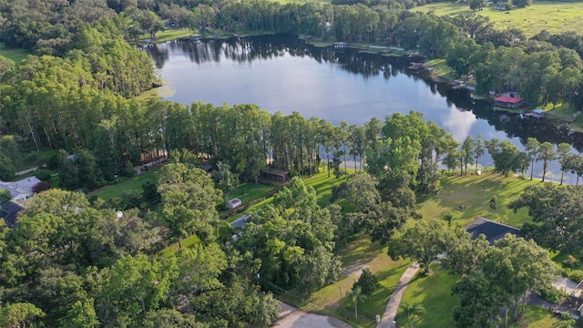 19100 Forrest Dr, Odessa, FL 33556 - photo 60