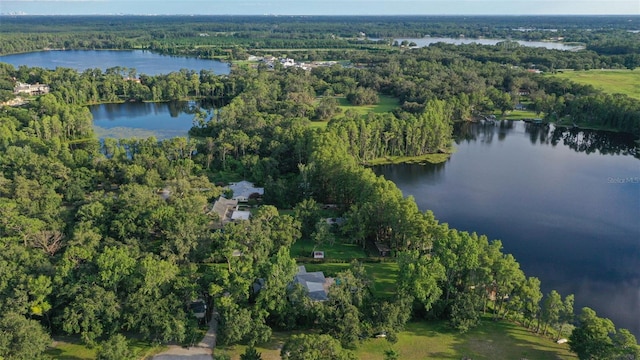 19100 Forrest Dr, Odessa, FL 33556 - photo 65