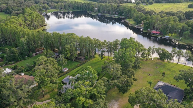 19100 Forrest Dr, Odessa, FL 33556 - photo 66