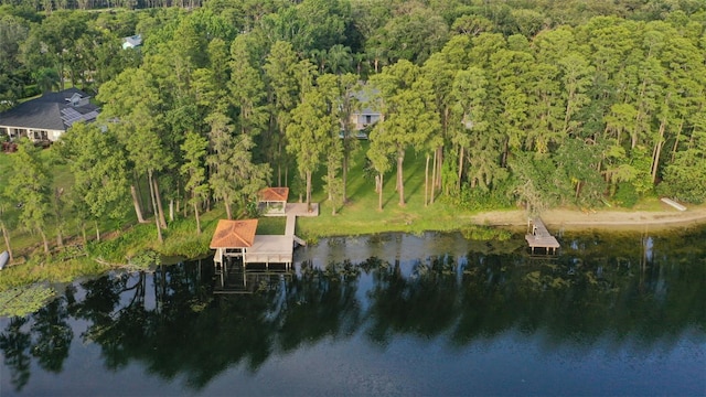19100 Forrest Dr, Odessa, FL 33556 - photo 68