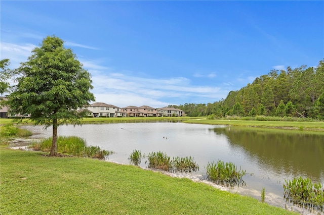 4887 Isola Ct, Wesley Chapel, FL 33543 - photo 32