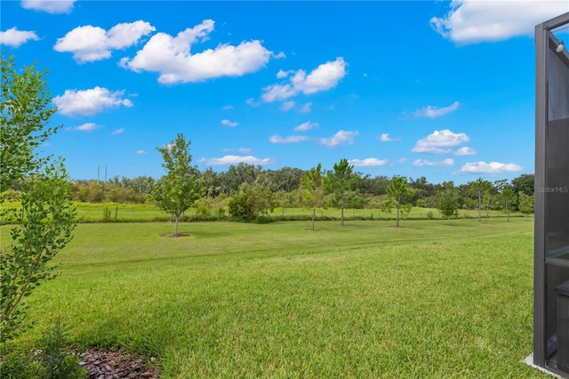 14215 Swiss Bridge Dr, Riverview, FL 33579 - photo 19