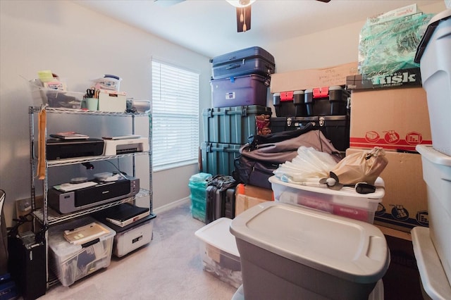 3709 Daisy Bloom Pl, Tampa, FL 33619 - photo 25
