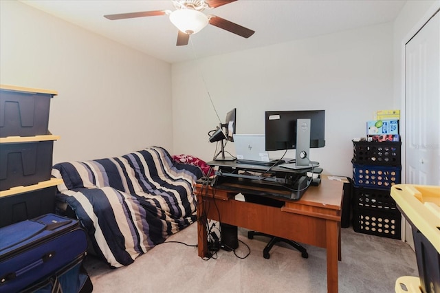 3709 Daisy Bloom Pl, Tampa, FL 33619 - photo 34