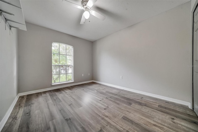17034 Ongar Ct, Land O Lakes, FL 34638 - photo 21