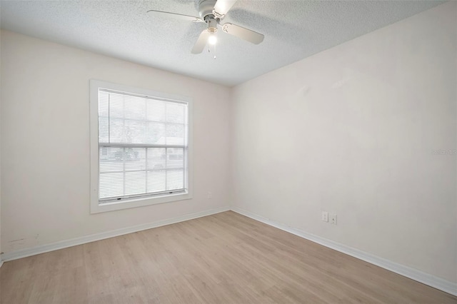 12825 Tallowood Dr, Riverview, FL 33579 - photo 8