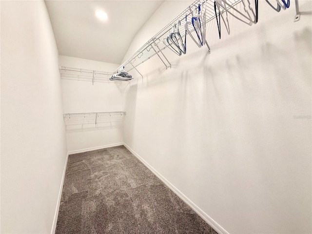 2493 Stapleford Pl, Wesley Chapel, FL 33543 - photo 17