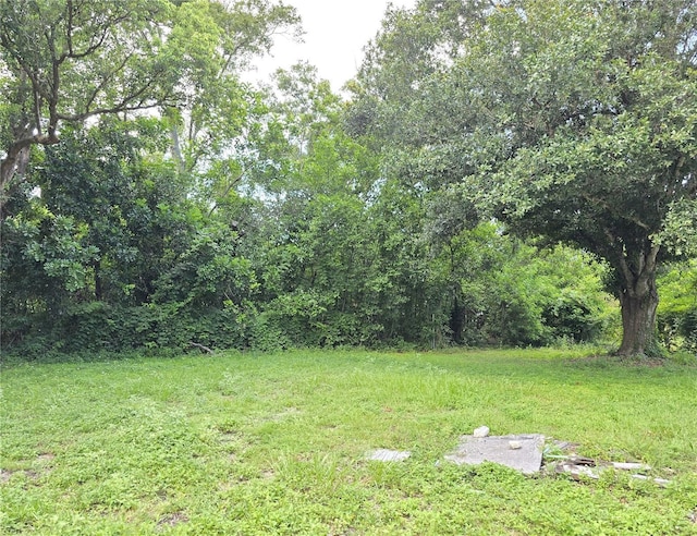 18 S Jupiter Ave, Clearwater, FL 33755 - photo 4