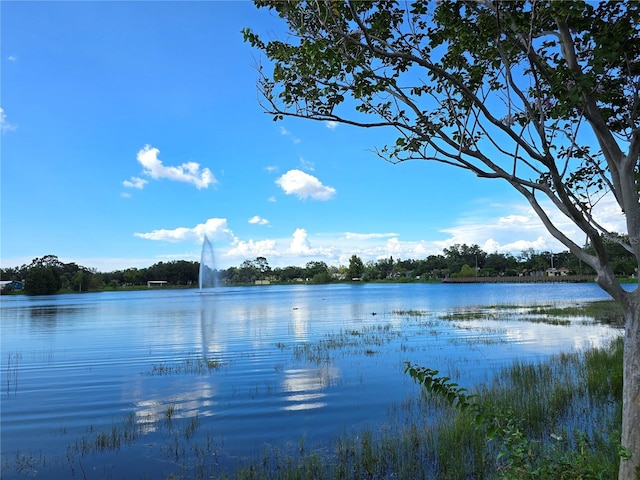 18 S Jupiter Ave, Clearwater, FL 33755 - photo 13