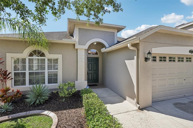 20125 Still Wind Dr, Tampa, FL 33647 - photo 5