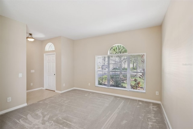20125 Still Wind Dr, Tampa, FL 33647 - photo 10
