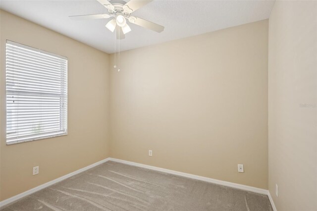 20125 Still Wind Dr, Tampa, FL 33647 - photo 24
