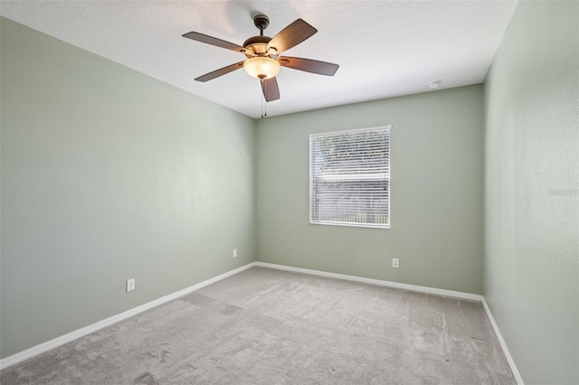 20125 Still Wind Dr, Tampa, FL 33647 - photo 29