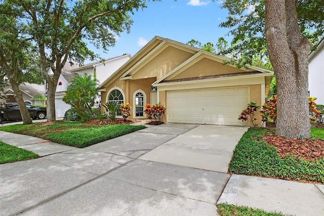 17728 Long Ridge Rd, Tampa, FL 33647 - photo 3