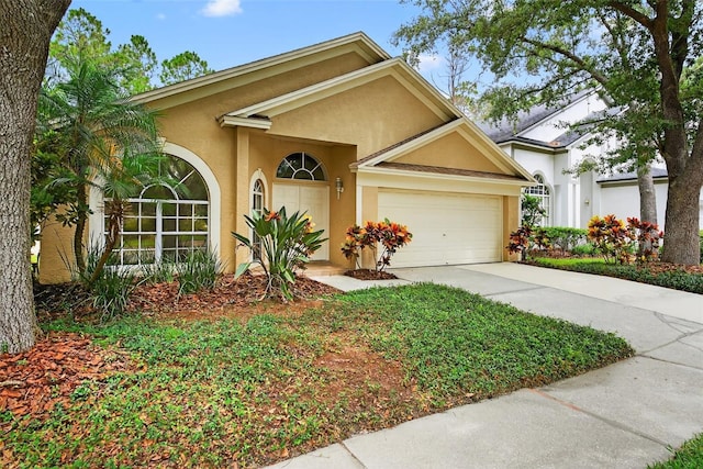 17728 Long Ridge Rd, Tampa, FL 33647 - photo 4