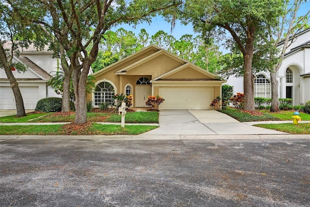 17728 Long Ridge Rd, Tampa, FL 33647 - photo 5