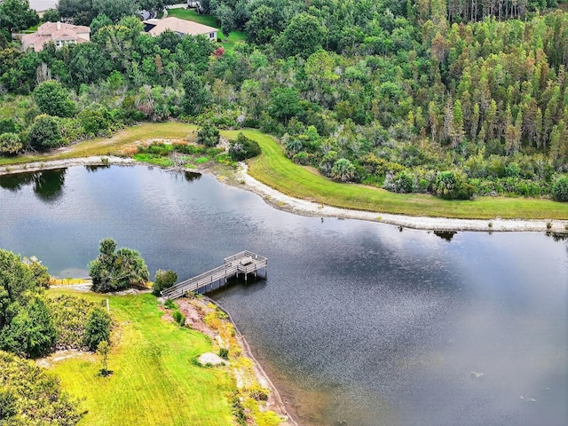 17728 Long Ridge Rd, Tampa, FL 33647 - photo 75