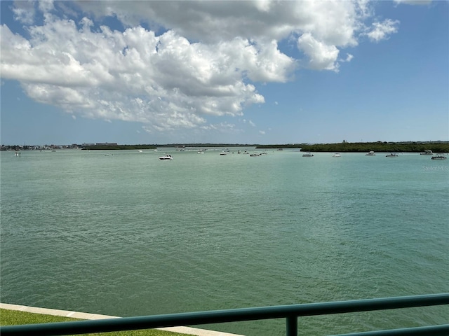 1 Key Capri Unit 213E, Treasure Island, FL 33706 - photo 17