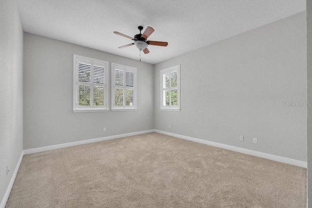 16301 Dunlindale Dr, Lithia, FL 33547 - photo 38