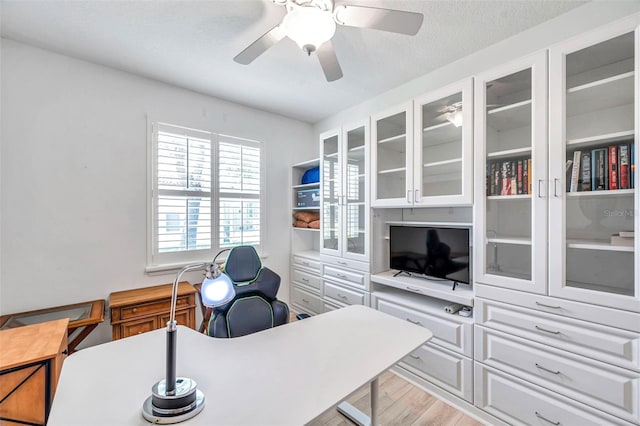 1230 Berkshire Ln, Tarpon Springs, FL 34688 - photo 35