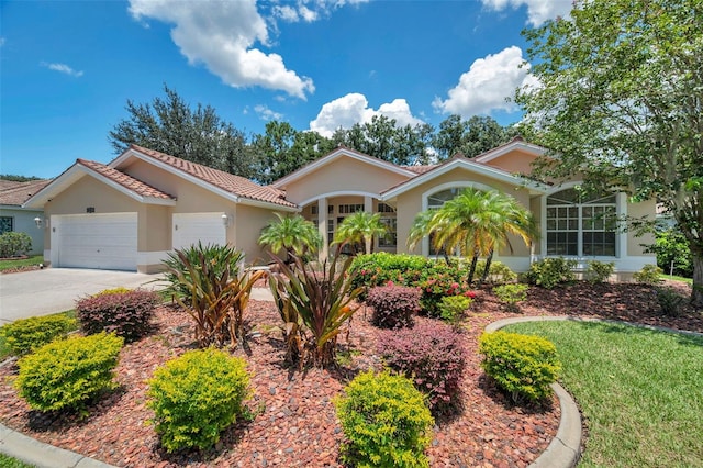 1230 Berkshire Ln, Tarpon Springs, FL 34688 - photo 46