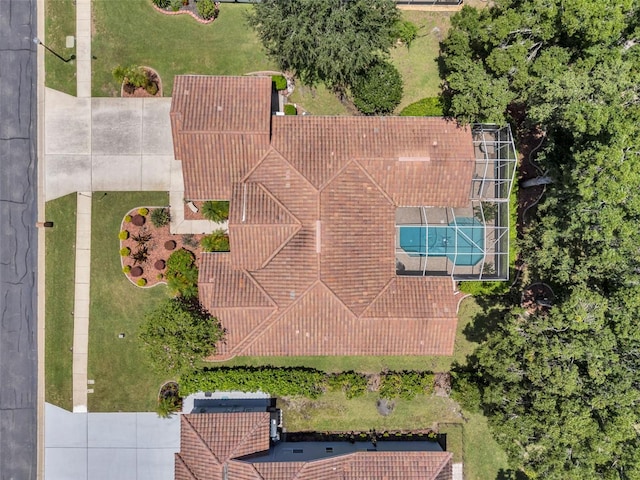 1230 Berkshire Ln, Tarpon Springs, FL 34688 - photo 61