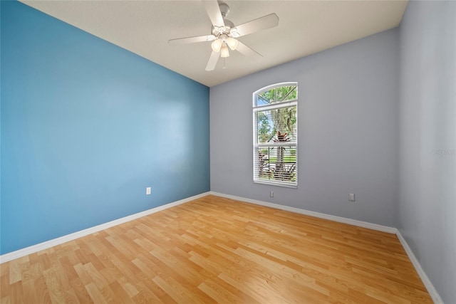 4049 Marlow Loop, Land O Lakes, FL 34639 - photo 24