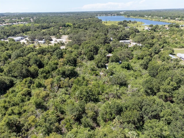 12020 Bullfrog Creek Rd, Gibsonton, FL 33534 - photo 2