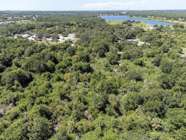 12020 Bullfrog Creek Rd, Gibsonton, FL 33534 - photo 3