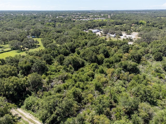 12020 Bullfrog Creek Rd, Gibsonton, FL 33534 - photo 5