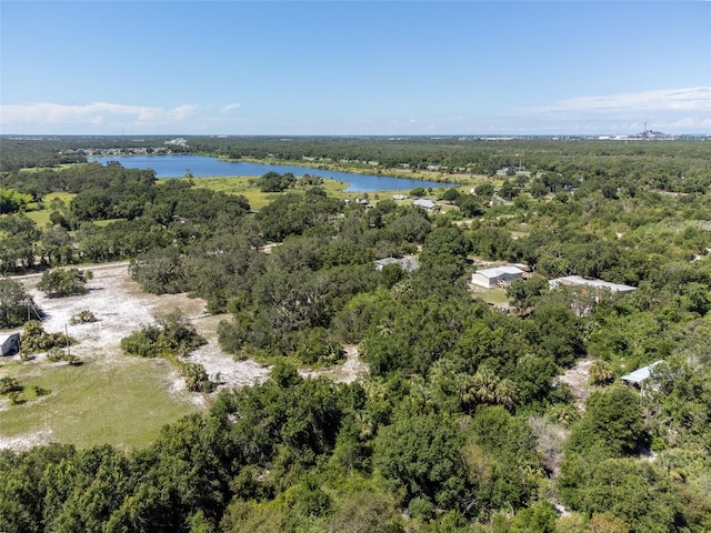 12020 Bullfrog Creek Rd, Gibsonton, FL 33534 - photo 8