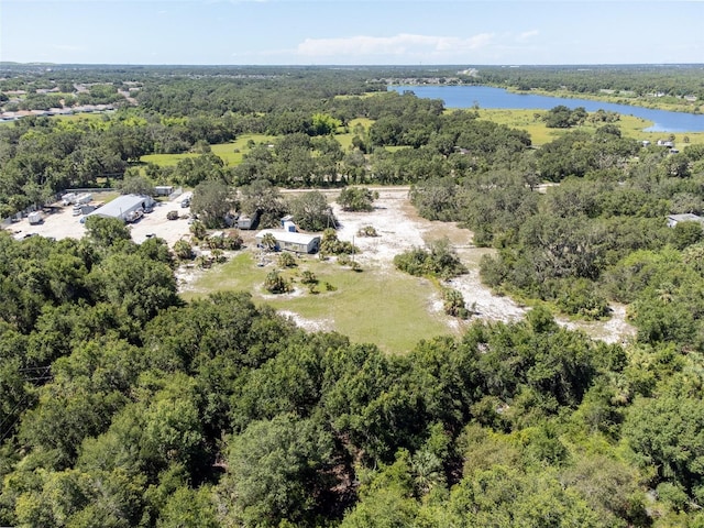12020 Bullfrog Creek Rd, Gibsonton, FL 33534 - photo 9