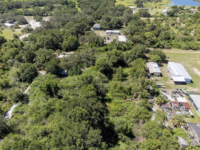 12020 Bullfrog Creek Rd, Gibsonton, FL 33534 - photo 11