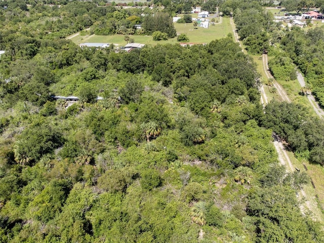12020 Bullfrog Creek Rd, Gibsonton, FL 33534 - photo 12