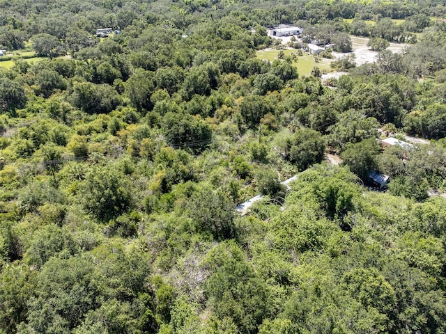 12020 Bullfrog Creek Rd, Gibsonton, FL 33534 - photo 13