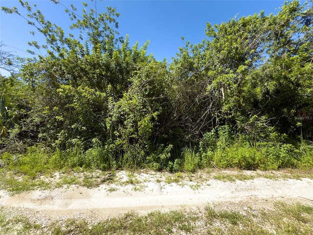 12020 Bullfrog Creek Rd, Gibsonton, FL 33534 - photo 14