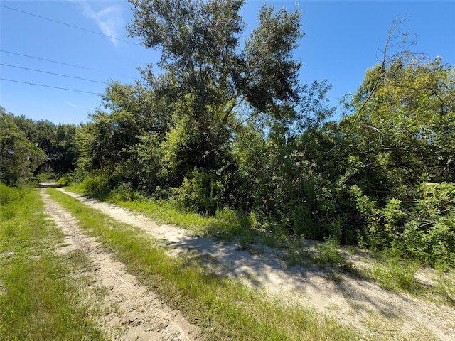 12020 Bullfrog Creek Rd, Gibsonton, FL 33534 - photo 15