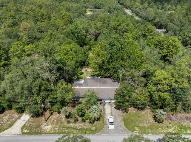 1058 SW Breezy Dr, Dunnellon, FL 34431 - photo 5