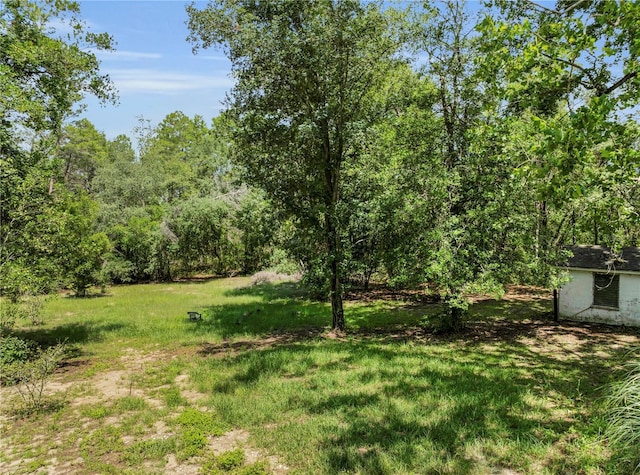 1058 SW Breezy Dr, Dunnellon, FL 34431 - photo 25