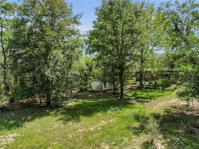 1058 SW Breezy Dr, Dunnellon, FL 34431 - photo 34