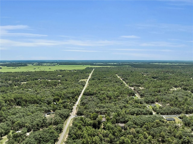 1058 SW Breezy Dr, Dunnellon, FL 34431 - photo 35