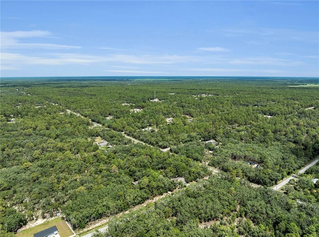 1058 SW Breezy Dr, Dunnellon, FL 34431 - photo 36