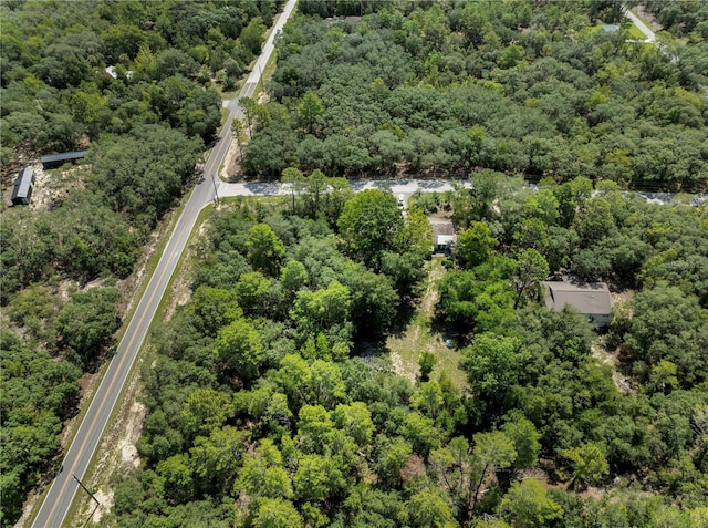 1058 SW Breezy Dr, Dunnellon, FL 34431 - photo 37