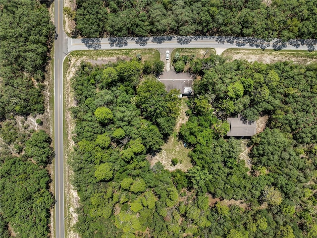1058 SW Breezy Dr, Dunnellon, FL 34431 - photo 38