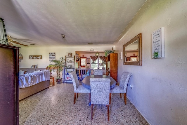 5712 78th Ave N, Pinellas Park, FL 33781 - photo 9
