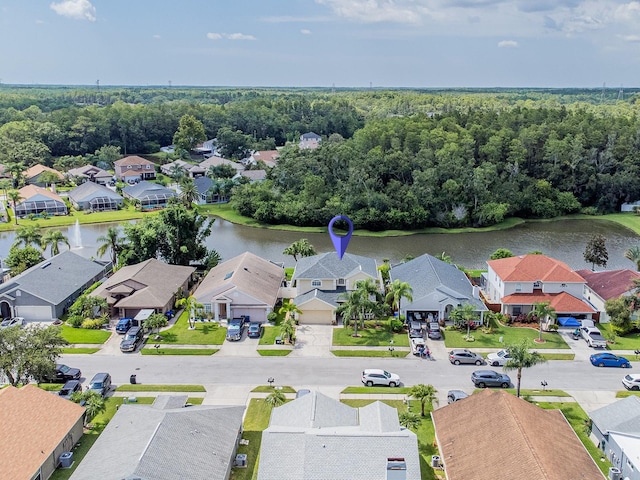 523 Cypress View Dr, Oldsmar, FL 34677 - photo 37