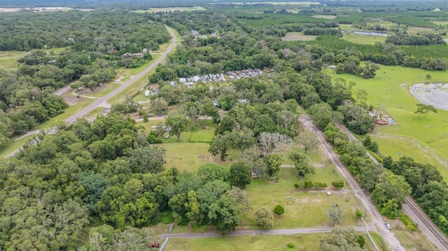 14619 Little Lake Rd, Spring Hill, FL 34610 - photo 8