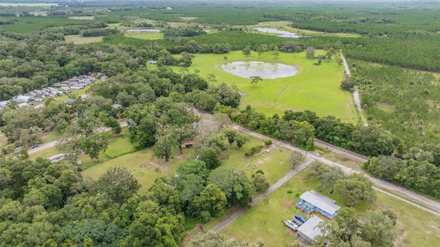 14619 Little Lake Rd, Spring Hill, FL 34610 - photo 9